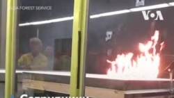 Природа пожара