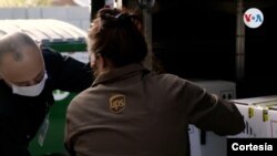 Una empleada de la multinacional estadounidense UPS carga una caja con vacunas. [FOTO: Cortesía / UPS]