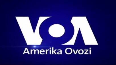 Kongressga saylovlar - US Midterm Elections