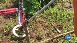 Encontradas minas anti-pessoais em quintais de Malanje