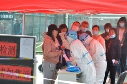 Medical workers in protective suits collect swabs for nucleic acid tests during a city-wide testing following COVID-19 cases in Qingdao, Shandong province, China, Oct. 12, 2020.