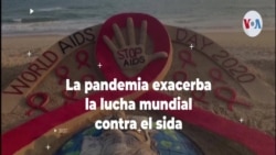 La pandemia cercena la lucha mundial contra el sida