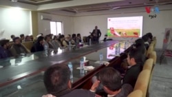 د پيو پېداوار د زیاتولو دپاره د خیبرپښتونخوا کروندګرو دپاره د قرض پروګرام شروع کړی 