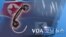 [VOA 모닝 뉴스] 2020년 6월 11일