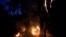A tract of the Amazon jungle burns as it is cleared in Iranduba, Amazonas state, Brazil August 22, 2019. REUTERS/Bruno Kelly