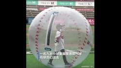 韩国职棒赛零观众开战 球童踩透明气球送来开局第一球