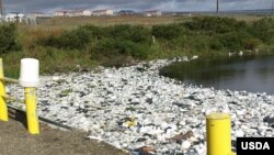 Untreated waste and honey bucket bags at the edge of a sewage lagoon in Toksook Bay in Alaska's Bethel Census Area.