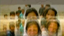 لویه پښتونخوا خپرونه په ټي وي