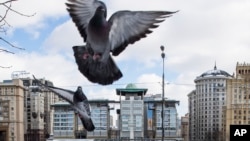 Burung-burung terbang di gedung Kedutaan Besar Inggris di Moskow, Rusia, 16 Maret 2018. (Foto: Pavel Golovkin/AP Photo)