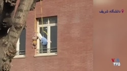 دانشجویان شریف عروسک‌های «موشعلی» را بر درخت آویزان کردند؛ دردسر بسیجی‌ها برای پایین آوردن