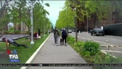 🔴 پخش زنده | اخبار «۹ شب»