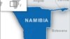 Namibia Begins 2023 'Seal Season'