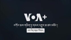 བརྙན་འཕྲིན་འཕྲུལ་ཆས་TVདང་ལག་ཁྱེར་ཁ་པར་ནང་བཀོལ་ཆས།