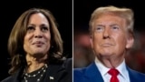 File photos show Democratic presidential nominee Vice President Kamala Harris (L) at a campaign rally Erie, Pa., on Oct. 14, 2024, and Republican presidential nominee former President Donald Trump at a campaign rally in Uniondale, N.Y., on Sept.18, 2024. (AP File Photos)