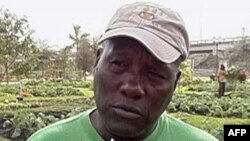 Miami’de Başlatılan Şehiriçi Bahçecilik Projesi Büyük İlgi Görüyor