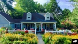 This image provided by American Meadows Inc. shows a lush wildflower meadow growing in place of a residential lawn. (American Meadows Inc. via AP)