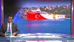 Hamiga Turkiga ee Geeska Afrika 