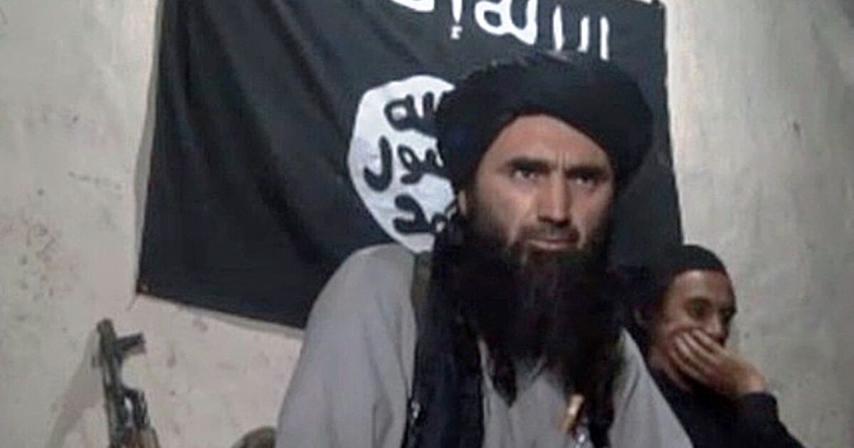 Transvestit Volgograd bilan jinsiy aloqa