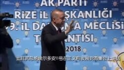 土耳其总统表示准备以国家货币与中国等开展贸易