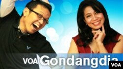 Program Fellowship PPIA VOA