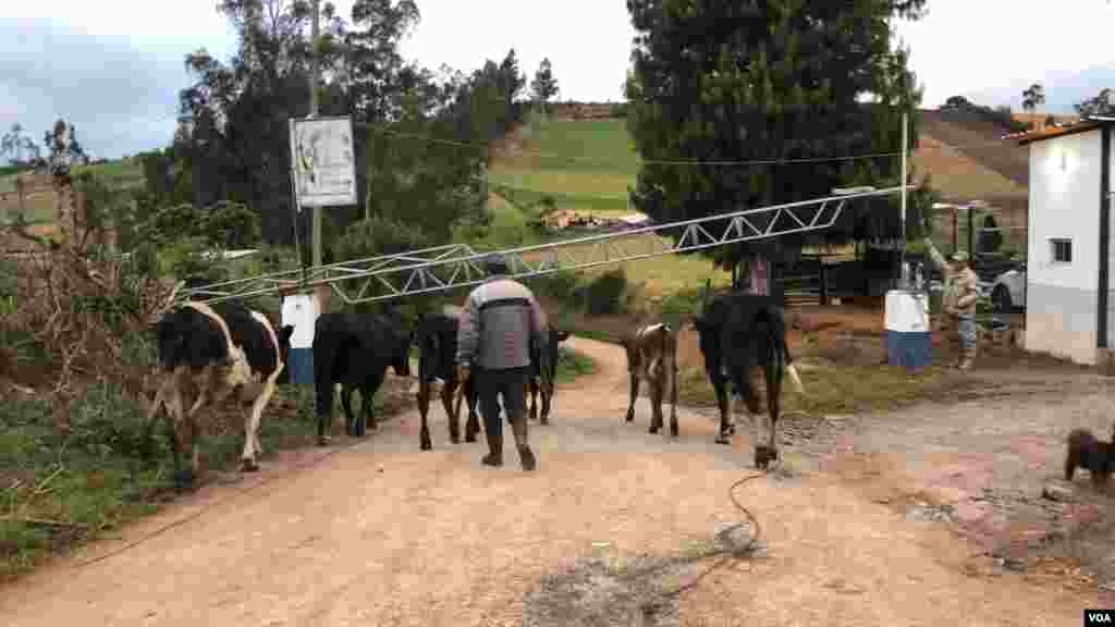 Urbina, pueblo fronterizo entre Ecuador y Colombia,&nbsp;es uno de los pasos irregulares, donde la gente atraviesa para evitar los controles migratorios. (Foto: Alejandra Arredondo/VOA)