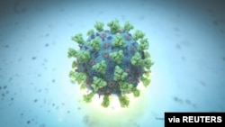 Una imagen de computadora creada por Nexu Science Communication junto con el Trinity College en Dublín, muestra un modelo estructuralmente representativo de un betacoronavirus, que es el tipo de virus vinculado al COVID-19. [Vía Reuters]