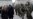 Lithuania Boosts NATO’s Baltics Border Defenses With Eye on Russia