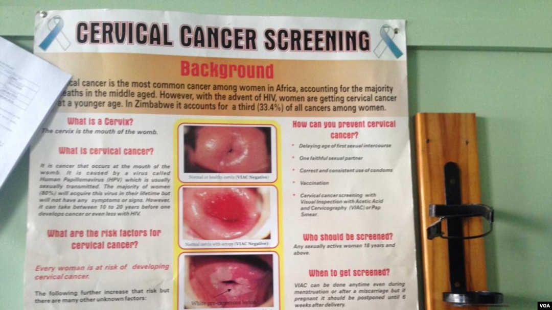 El cáncer de ovario es el cáncer ginecológico más mortal y la quinta causa más común de muerte relacionada con el cáncer entre las mujeres estadounidenses, señalan Roberts y sus colegas en Cancer Research.