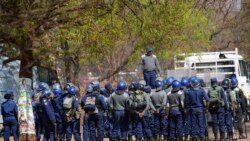 Rights groups condemn arrest of Zimbabwe opposition members ahead of regional meeting
