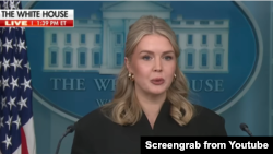 کارولین لیویت، ‌سخنگوی کاخ سفید

