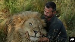 FILE— In this photo taken on March 15, 2017, Kevin Richardson, popularly known as the "lion whisperer," interacts with one of his lions while out for a walk in the Dinokeng Game Reserve, near Pretoria, South Africa.