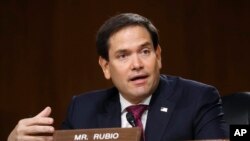 资料照片：美国参议员鲁比奥（Marco Rubio）2020年5月5日在参院情报委员会举行的听证会上发言。