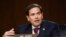 资料照片：美国参议员鲁比奥（Marco Rubio）2020年5月5日在参院情报委员会举行的听证会上发言。