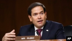 资料照：共和党联邦参议员鲁比奥（Sen. Marco Rubio， R-FL）在参议院情报委员会听证会上讲话。（2020年5月5日）