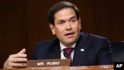 佛羅里達州共和黨聯邦參議員魯比奧（Sen. Marco Rubio, R-FL）也在推特上支持美國國務院的制裁中國決定。