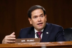 FILE - Sen. Marco Rubio, R-Fla., speaks during a Senate Intelligence Committee on Capitol Hill, May 5, 2020.