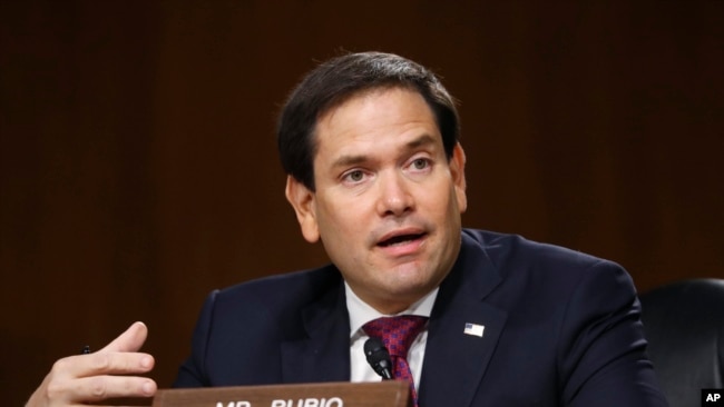 美国共和党参议员卢比奥(Sen.Marco Rubio,R-FL)是跨国议会对华政策联盟的成员(资料照片)