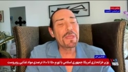 سعید محمدی: فریدون فرخزاد عاشق ملتش و آزادی ایران بود