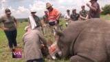 South African pilots project to protect endangered rhinoceros