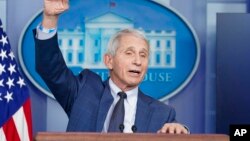 Kepala Penasihat Medis Gedung Putih, Dr. Anthony Fauci berbicara di Gedung Putih, Washington DC (1/12). 