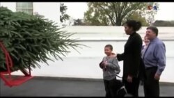 میشل اوباما برای آخرین بار درخت کریسمس کاخ سفید را تحویل گرفت