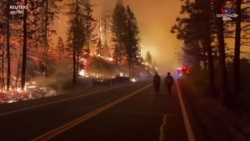Ուժգին քամին և չոր, շոգ եղանակը նպաստում են անտառային հրդեհներին` այրելով Կալիֆոռնիայի անտառների հսկայական հատվածներ:
