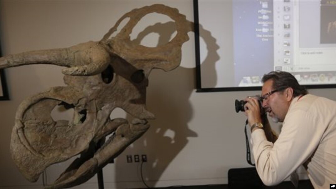 Creation Museum telah menambahkan kerangka-kerangka dinosaurus dan pameran berbagai jenis serangga untuk menarik lebih banyak pengunjung. (Foto: Ilustrasi)