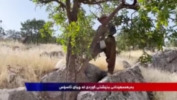 دروستکردن و بەرهەمهێنانی بنێشتی کوردی لە چیا سەختەکانی کوردستان