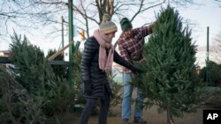 Libby y Larry Gurnee miran un árbol de Navidad a la venta por 55 dólares, el miércoles 14 de diciembre de 2022, en South Portland, Maine. (Foto AP/Robert F. Bukaty)