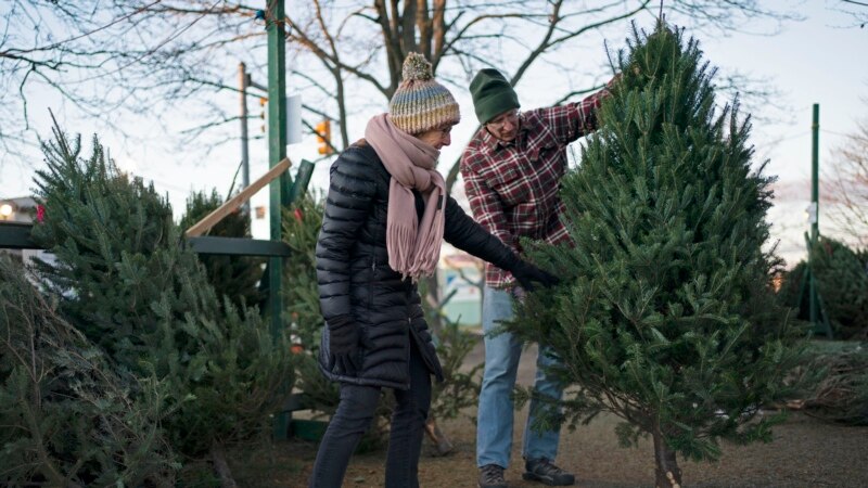 Inflación no frena venta de árboles de Navidad en EEUU