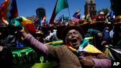 Seorang pendukung Presiden Bolivia Evo Morales berpawai di La Paz, Bolivia, 23 Oktober 2019.