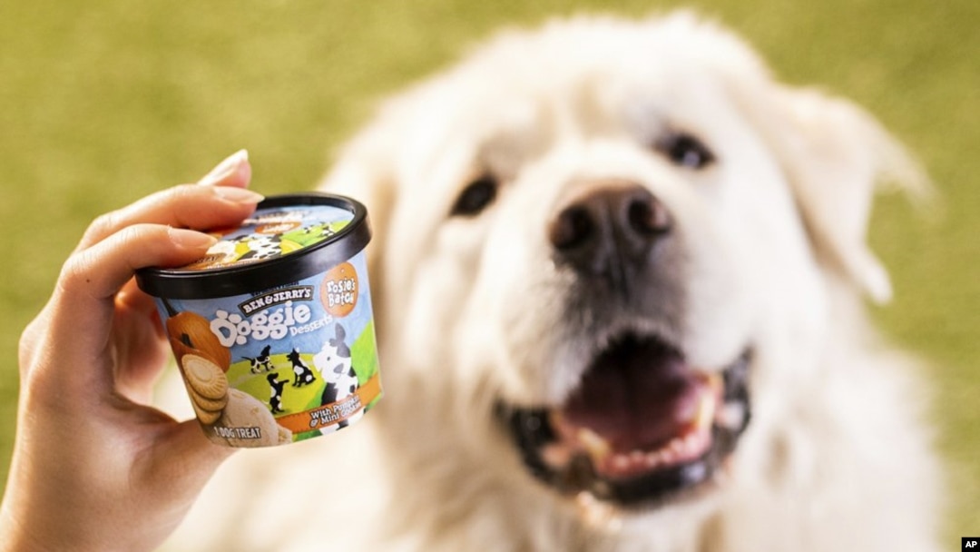 Doggie Desserts: Ben & Jerry's Enters the Pet Food Business