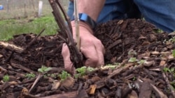 New AG School Teaches Secrets to Conserving Farmland