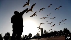 FILE - George Martinez feeds seagulls near the marina in Corpus Christi, Texas, July 14, 2016.